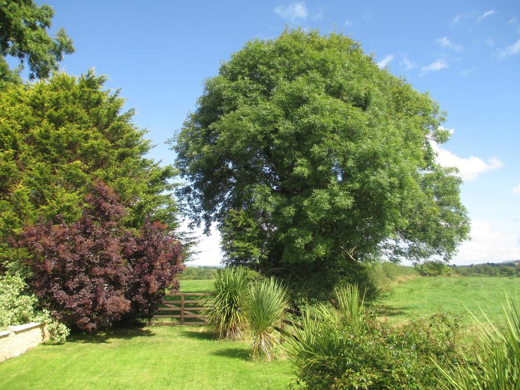 Tralia Farmhouse Self Catering Farranfore Exteriör bild