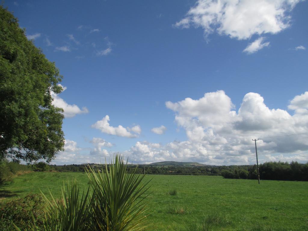 Tralia Farmhouse Self Catering Farranfore Exteriör bild