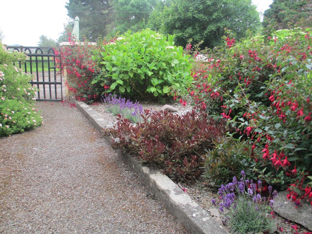 Tralia Farmhouse Self Catering Farranfore Rum bild
