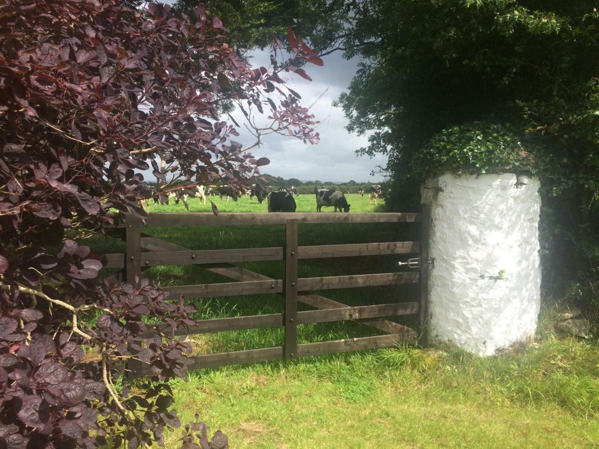 Tralia Farmhouse Self Catering Farranfore Exteriör bild